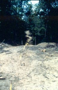 Beast Construction 1977-79 — photo 34 of 34