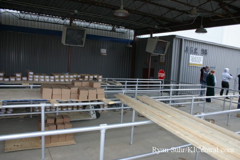 Firehawk Construction — photo 86 of 288