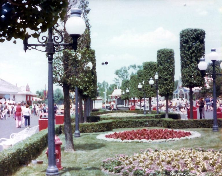 Park Photo