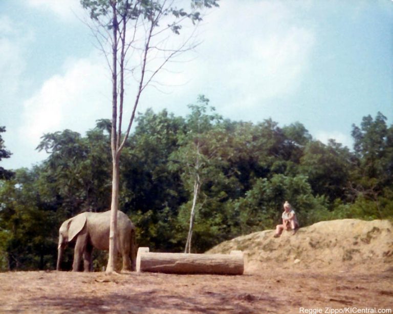 Lion Country Safari