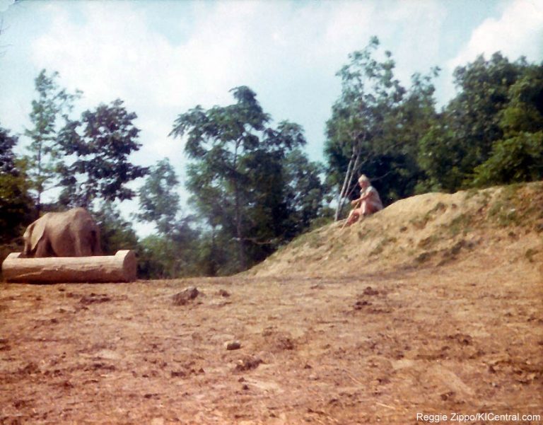 Lion Country Safari