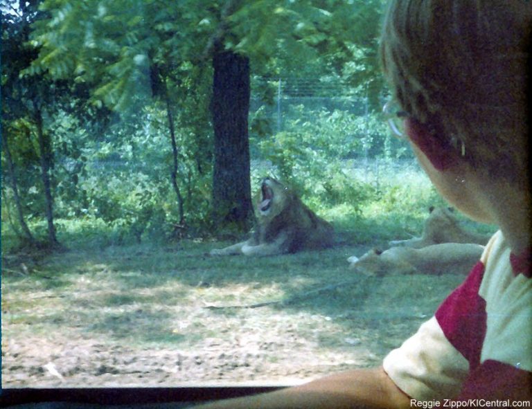 Lion Country Safari