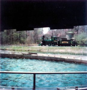 Log Flume & Train