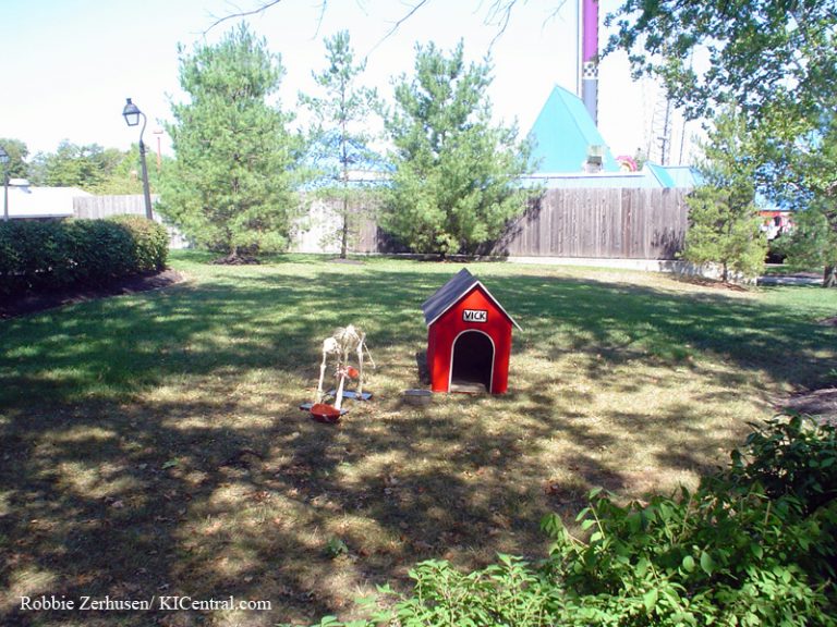 Vick doghouse and dog skeleton by Paramount Theater.