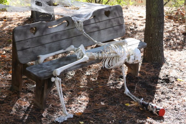 Halloween Haunt