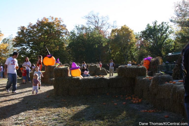 Pumpkin Patch