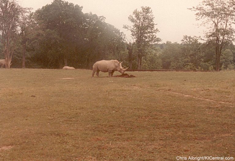 Lion Country Safari