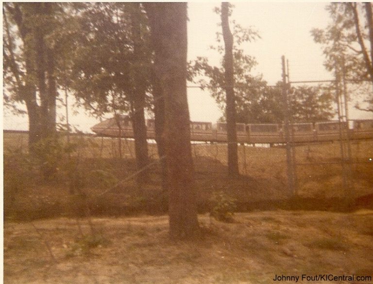 Lion Country Safari
