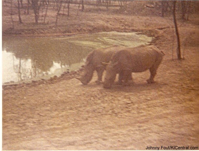 Lion Country Safari