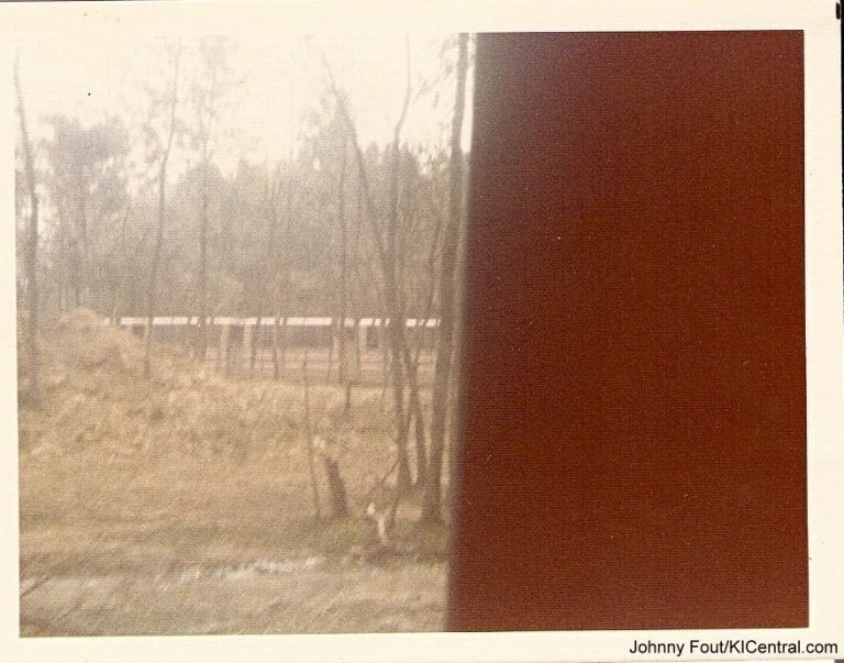 Lion Country Safari