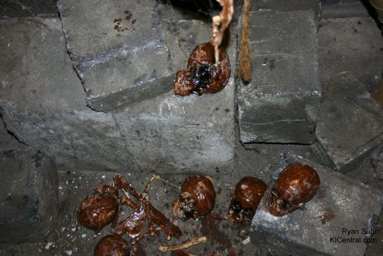 Human Remains in The Crypt