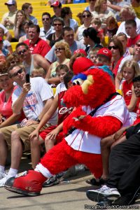 Cincinnati Reds at Kings Island