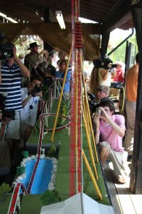 Diamondback Announcement — photo 29 of 49
