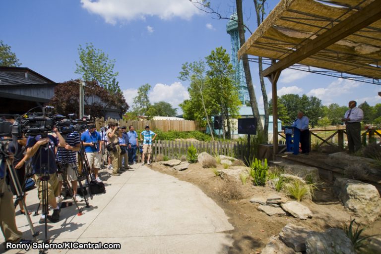 Diamondback Announcement — photo 12 of 49