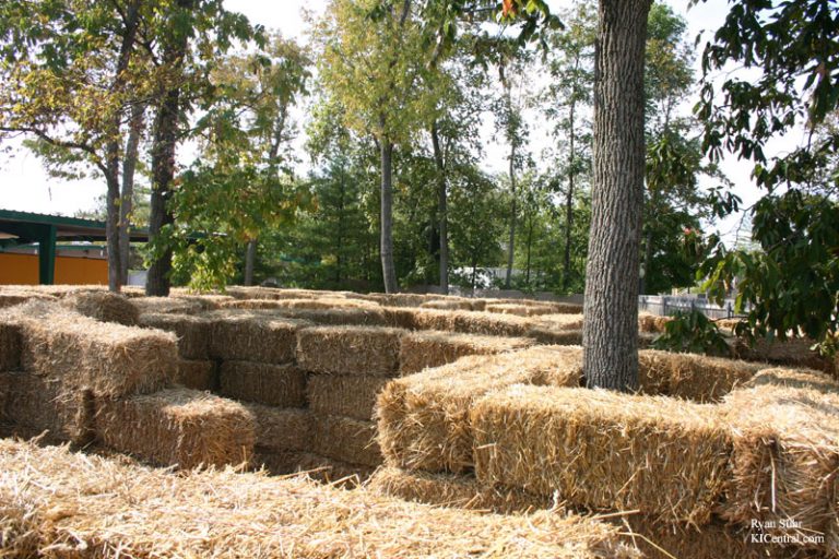 Howl-O-Fest Maze