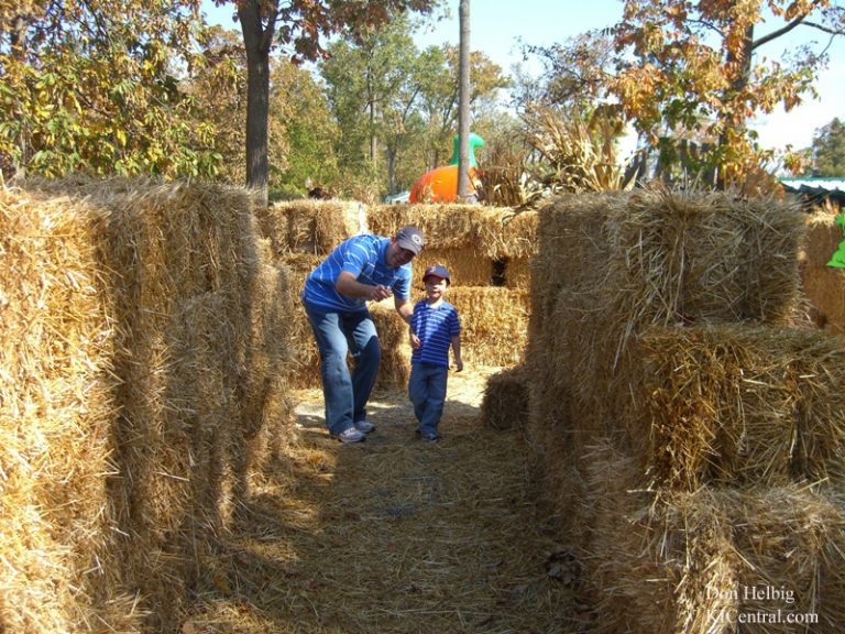 Howl-O-Fest 2008