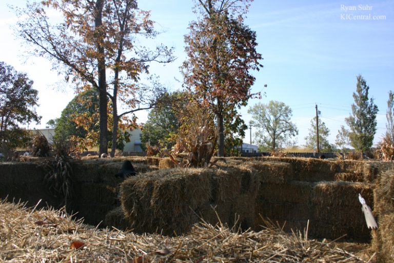 Howl-O-Fest 2008