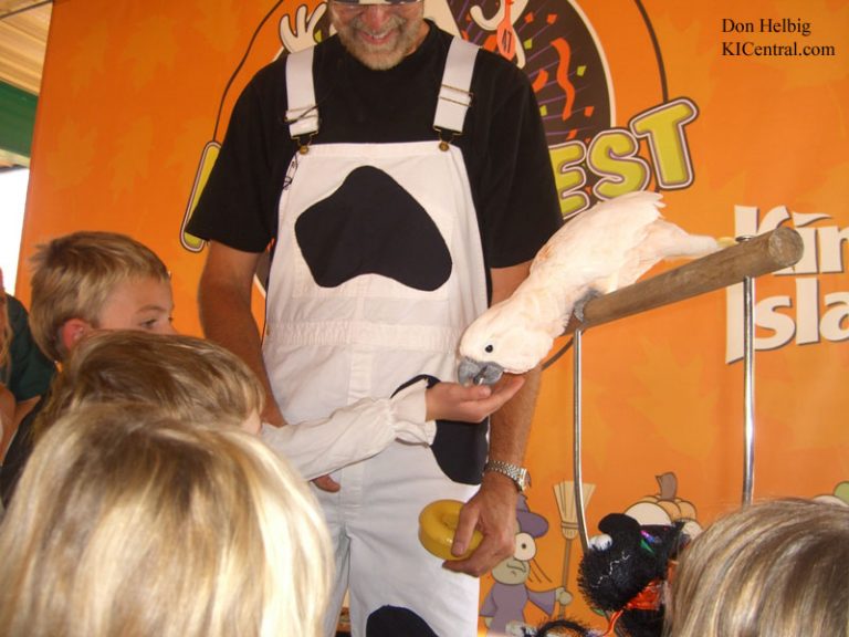 Mr. Cowpie's Scared Silly Show at Howl-O-Fest 2008