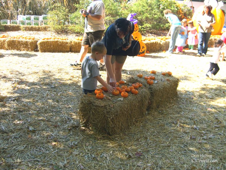 Howl-O-Fest 2008