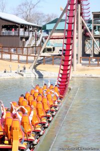 Diamondback