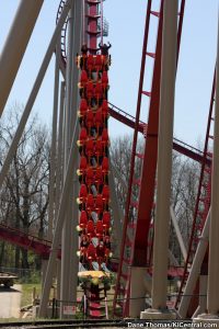 Diamondback