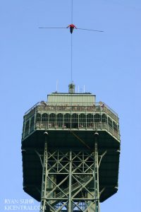 Nik Wallenda Walks a highwire 262' in the air at Kings Island, Aug 16, 2009