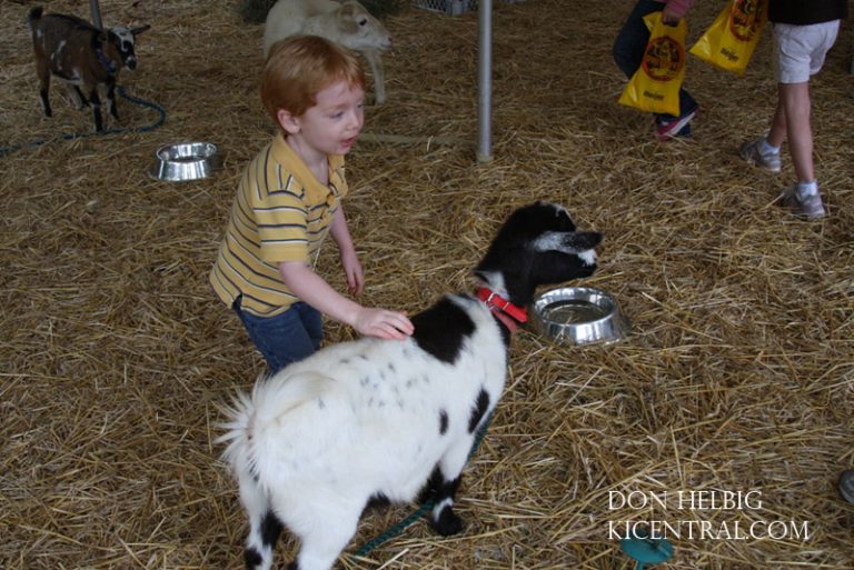 Petting Zoo at Howl-o-Fest 2009