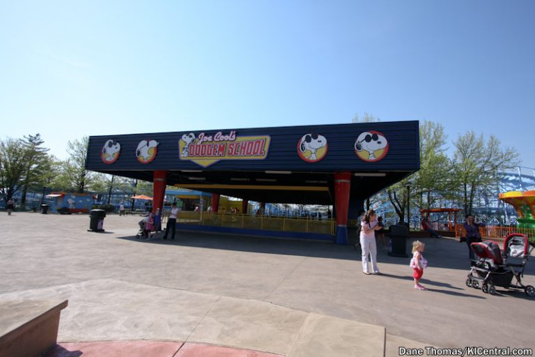 Joe Cool's Dodgem School — photo 7 of 20