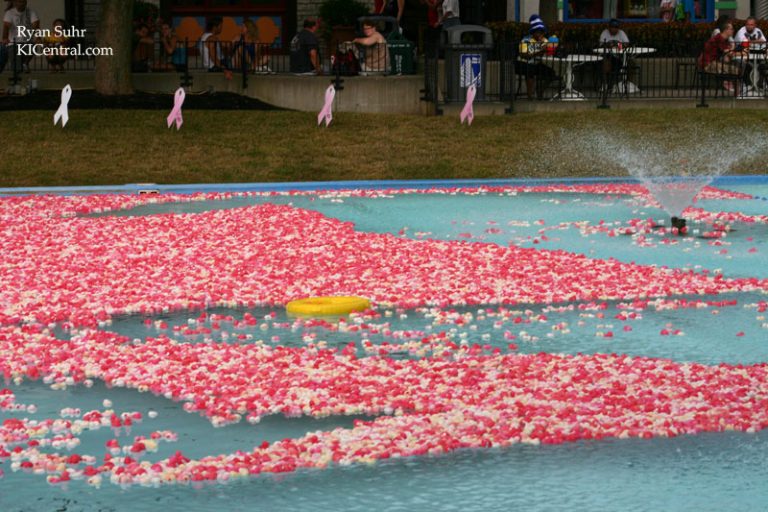 Thousands of Pink Ducks in Kings Island's Fountain