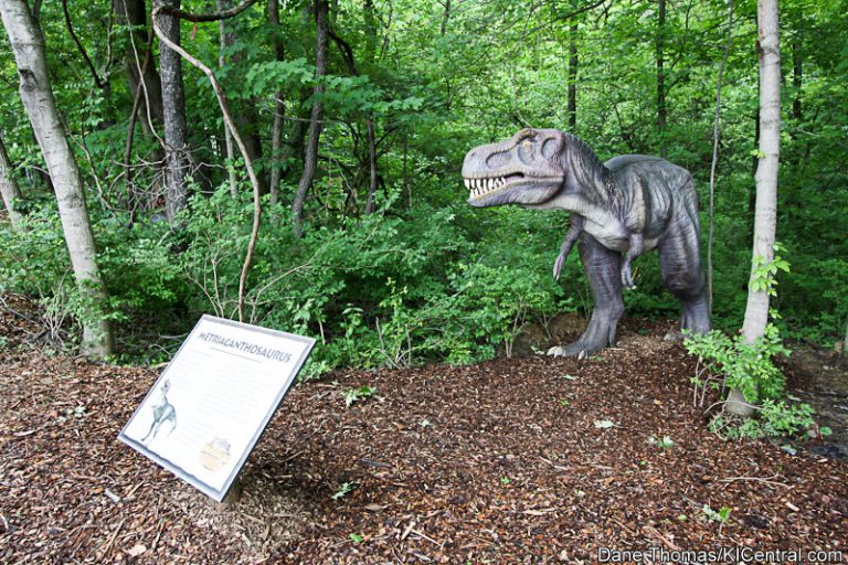 Dinosaurs Alive! Grand Opening — photo 14 of 63
