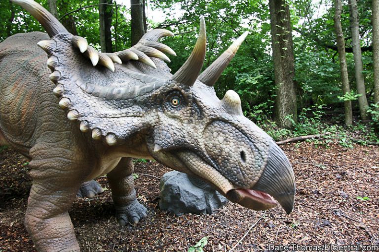 Dinosaurs Alive! Grand Opening — photo 25 of 63