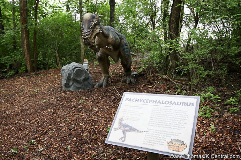 Dinosaurs Alive! Grand Opening — photo 5 of 63