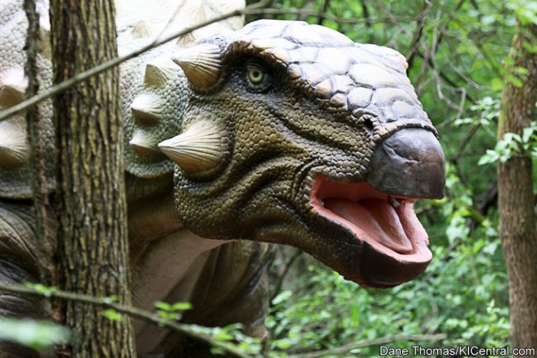 Dinosaurs Alive! Grand Opening — photo 6 of 63