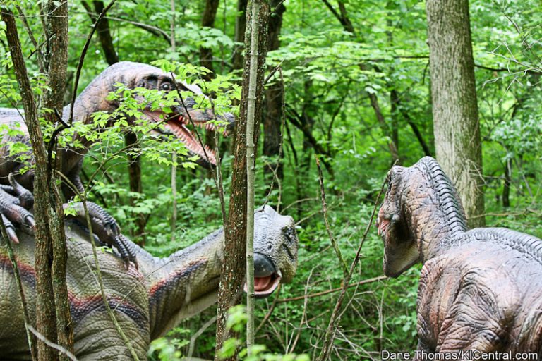 Dinosaurs Alive! Grand Opening — photo 35 of 63