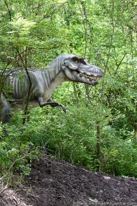 Dinosaurs Alive! Grand Opening — photo 37 of 63