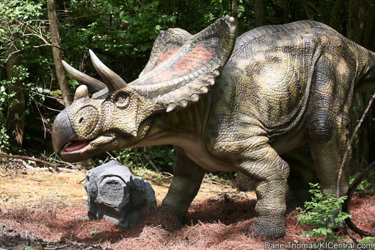 Dinosaurs Alive! Grand Opening — photo 38 of 63