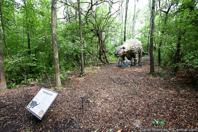 Dinosaurs Alive! Grand Opening — photo 47 of 63