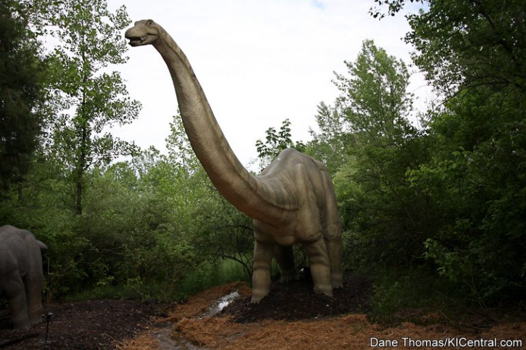Dinosaurs Alive! Grand Opening — photo 52 of 63