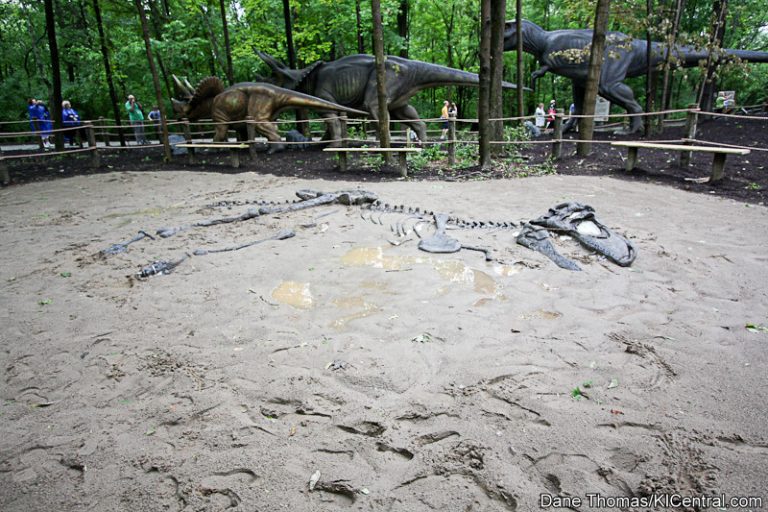 Dinosaurs Alive! Grand Opening — photo 55 of 63