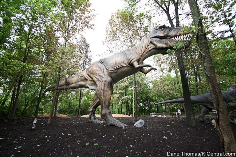 Dinosaurs Alive! Grand Opening — photo 61 of 63