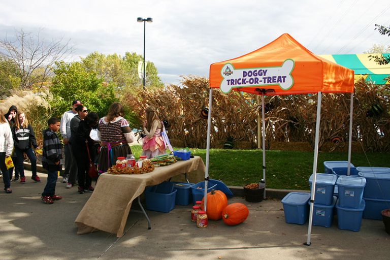 Dog Days 2014 - Doggy Trick or Treat