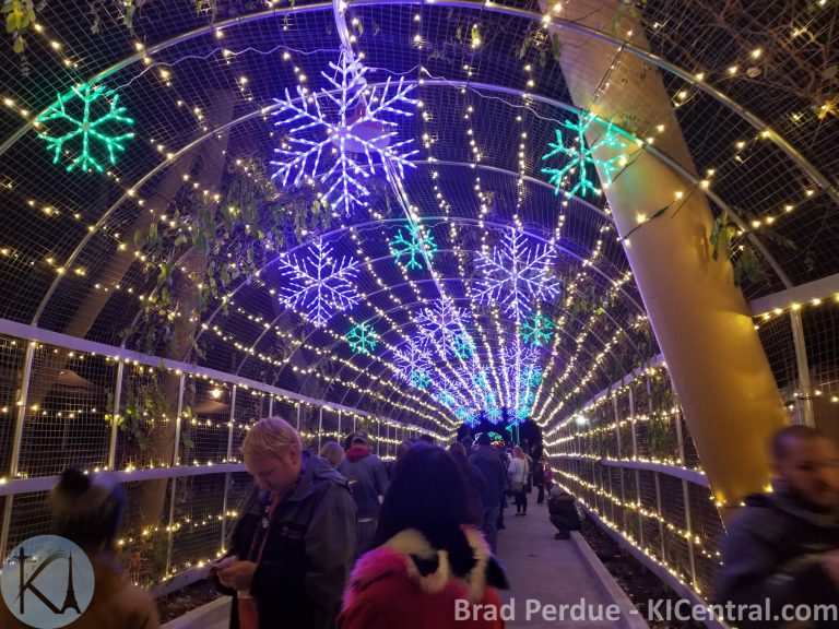 20171124_191124