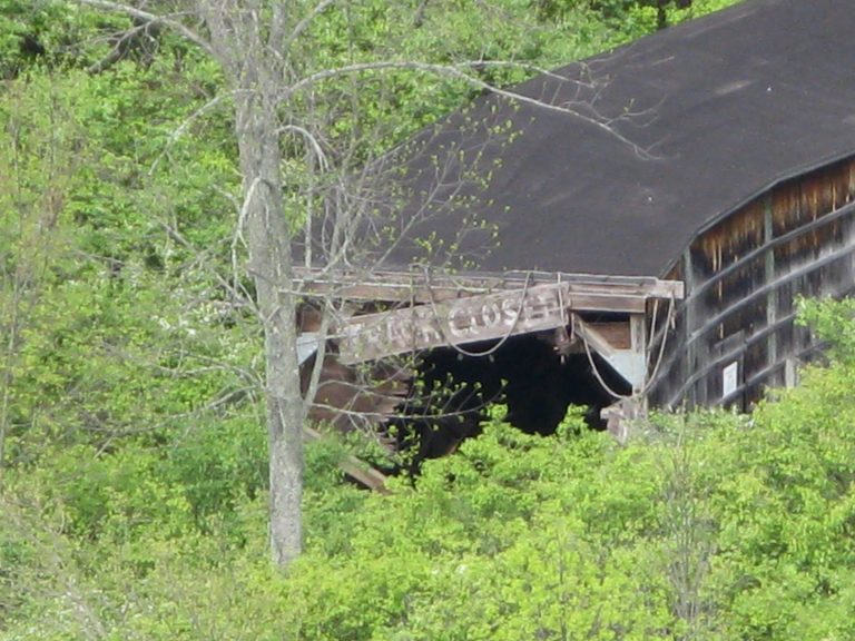 Adventure Express — photo 70 of 136