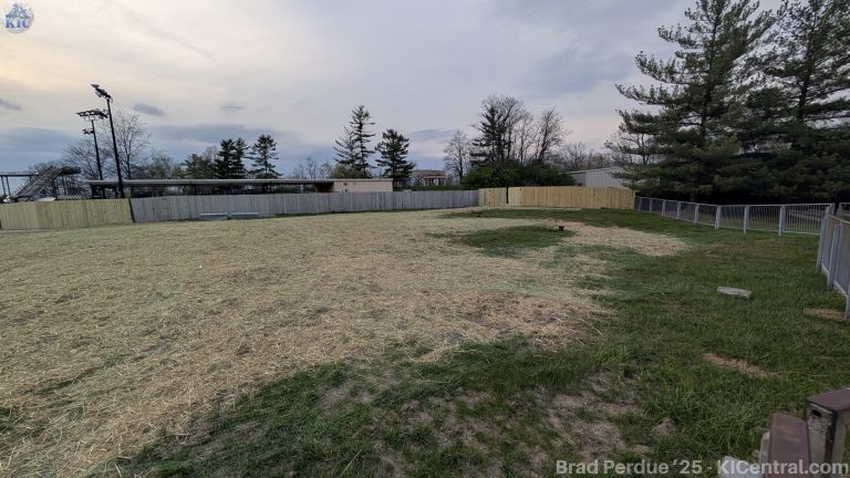 PXL_20250418_234420259