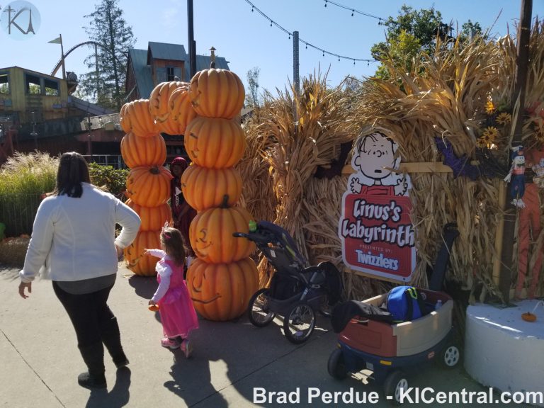 Great Pumpkin Fest 2019 — photo 7 of 77