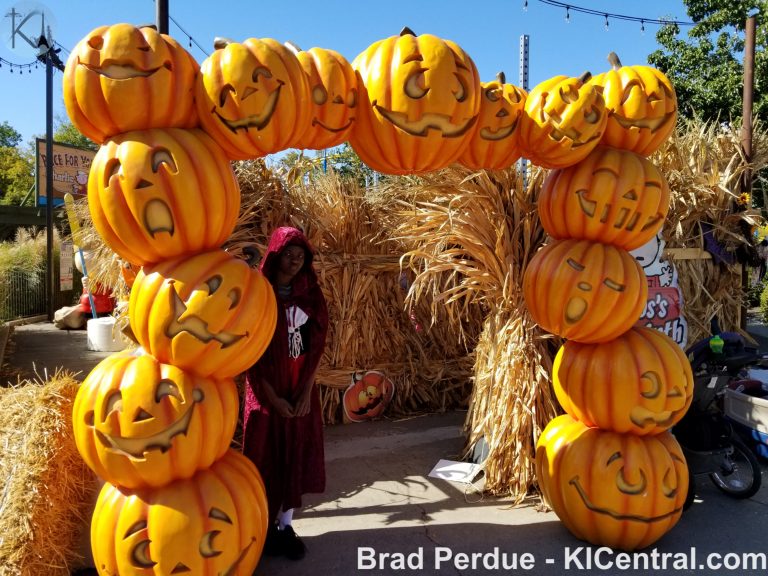 Great Pumpkin Fest 2019 — photo 8 of 77