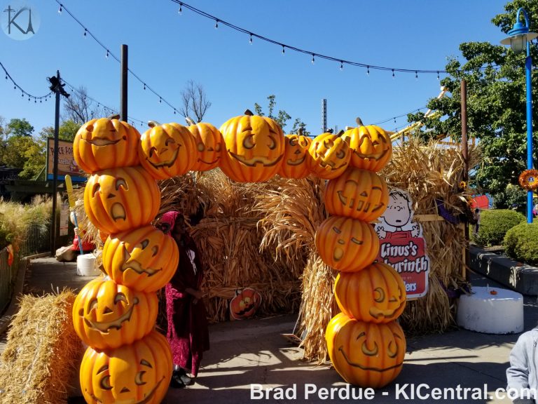 Great Pumpkin Fest 2019 — photo 10 of 77