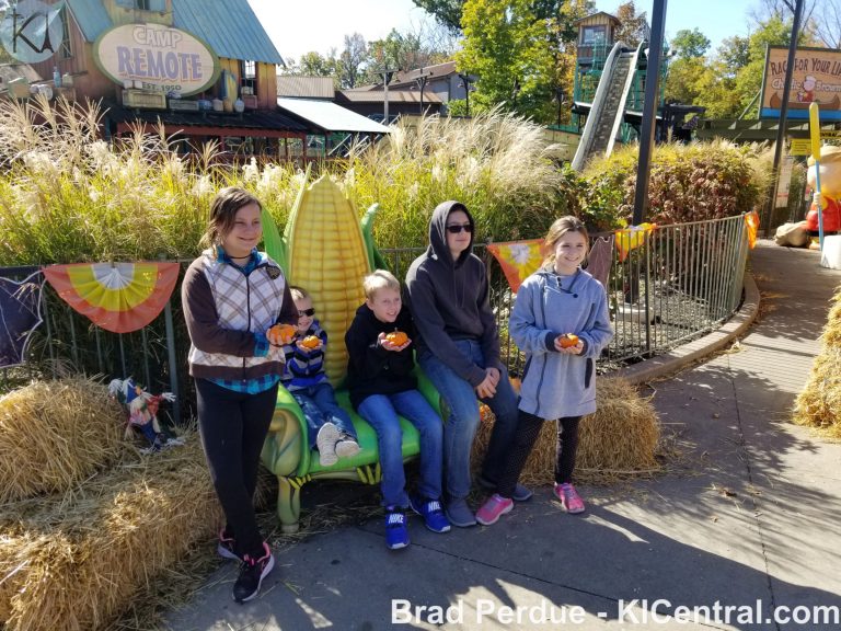 Great Pumpkin Fest 2019 — photo 11 of 77