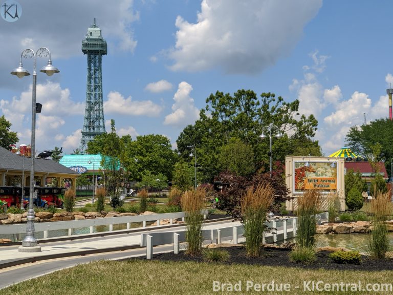 IMG_20200726_132622