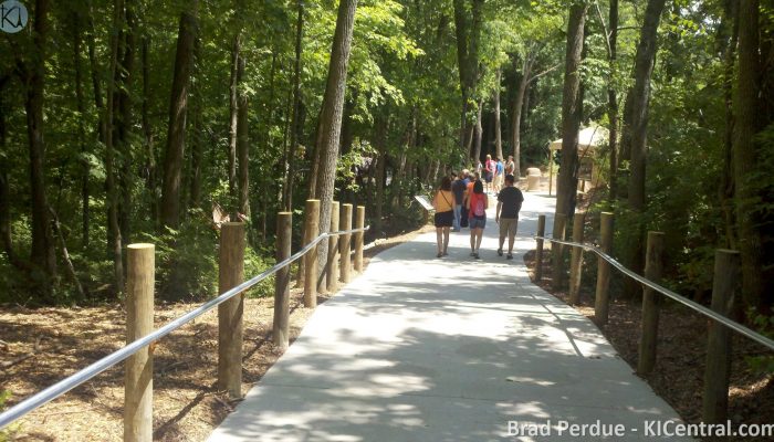 Dinosaurs Alive! — photo 4 of 86